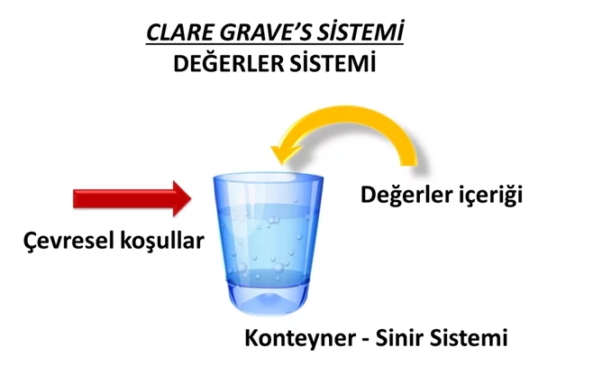 clare graves sistemi