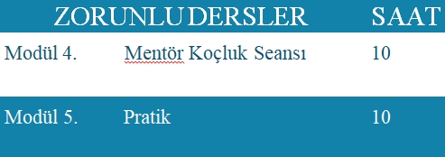 zorunlu