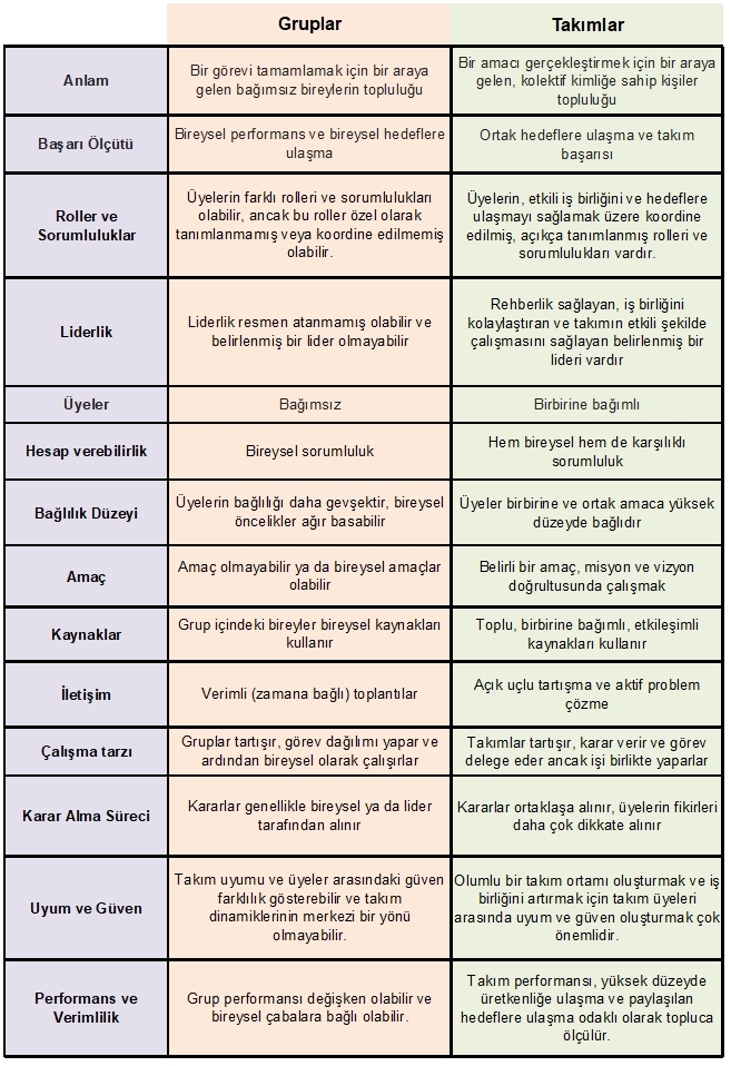 Takım nedir? 2 takim ve grup
